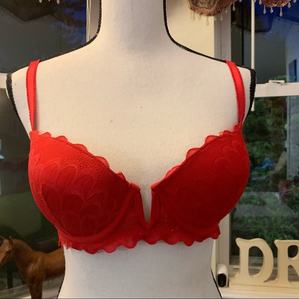 NWOT Sophie B Lace Lightly Padded Bra Size 36B